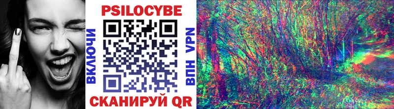 Псилоцибиновые грибы мицелий  Злынка 